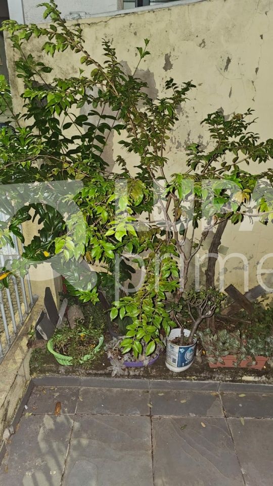 casa-terrea-venda-sao-paulo-vila-regina-4dormitorios-2suites-6vagas-250m2-LM29859