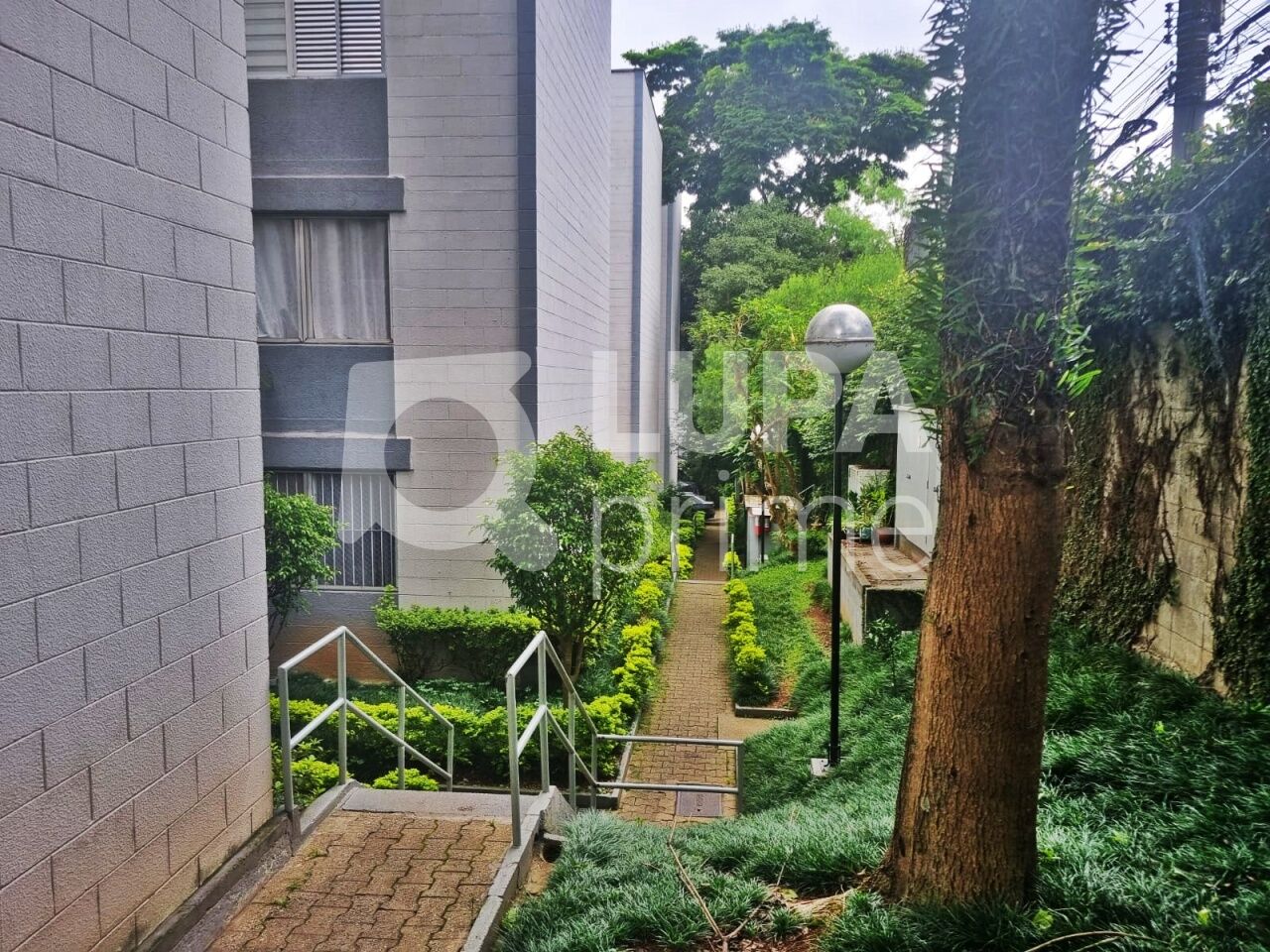 apartamento-venda-sao-paulo-casa-verde-2dormitorios-1vaga-51m2-LM29872