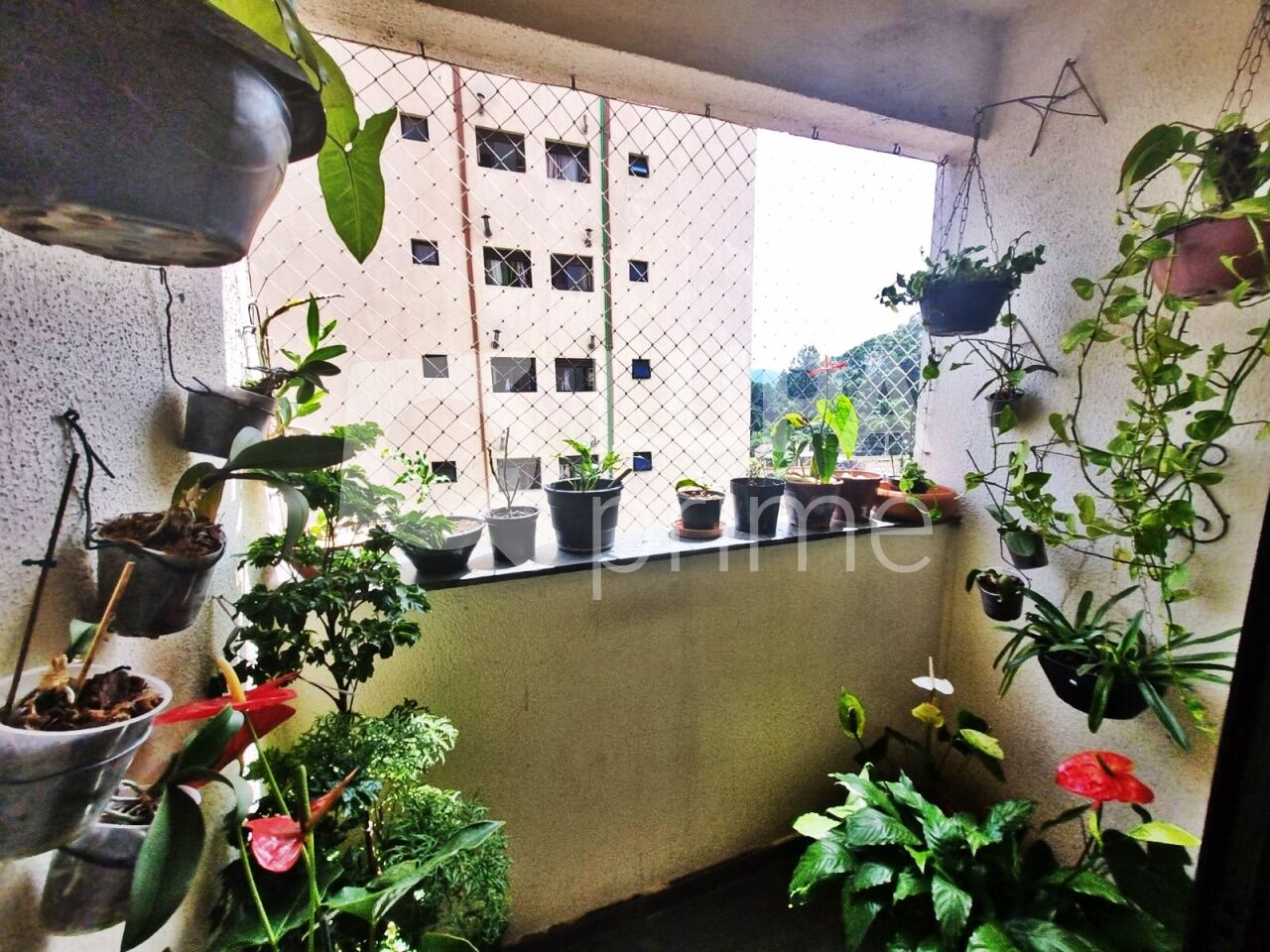 apartamento-venda-sao-paulo-parque-mandaqui-3dormitorios-1suite-1vaga-72m2-LM29921