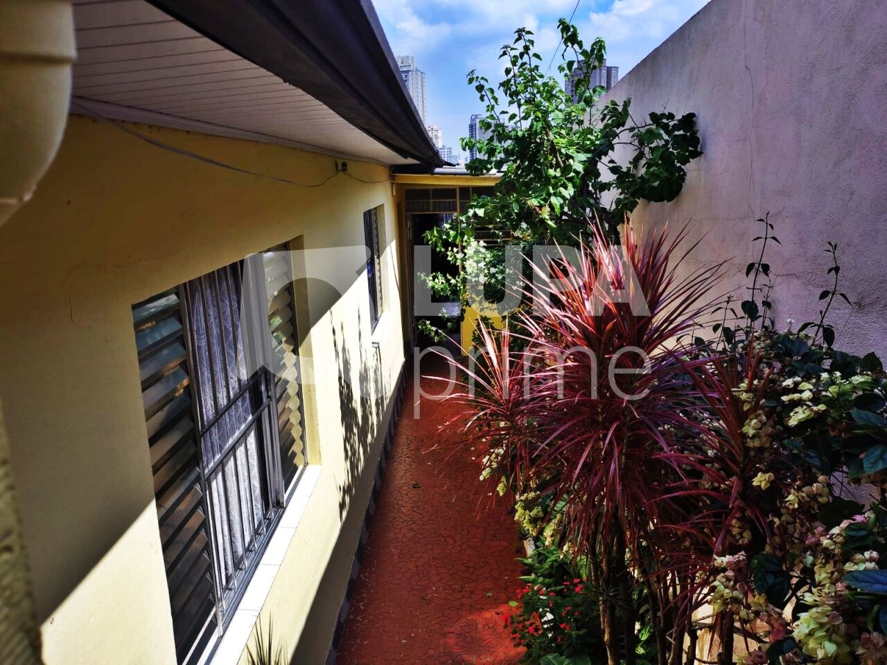 casa-terrea-venda-sao-paulo-vila-maria-alta-6dormitorios-2vagas-300m2-LM29926