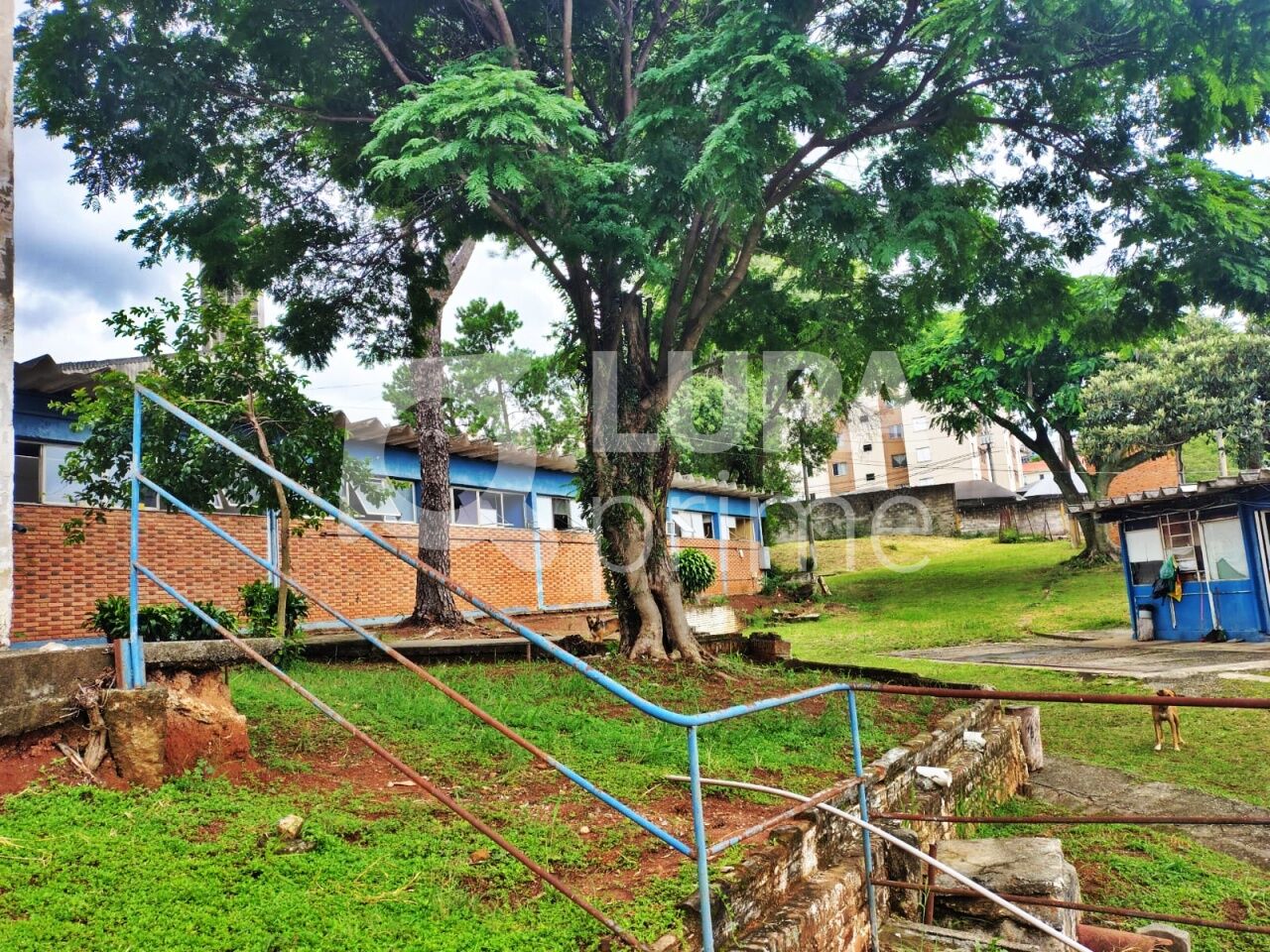 Depósito-Galpão, 5441 m² - Foto 16