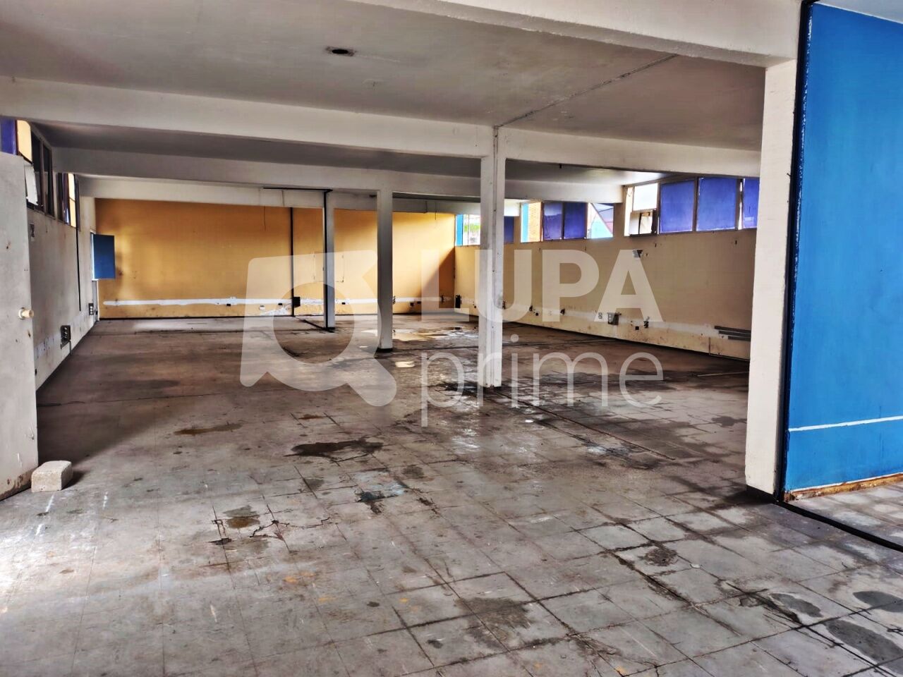 Depósito-Galpão, 5441 m² - Foto 5