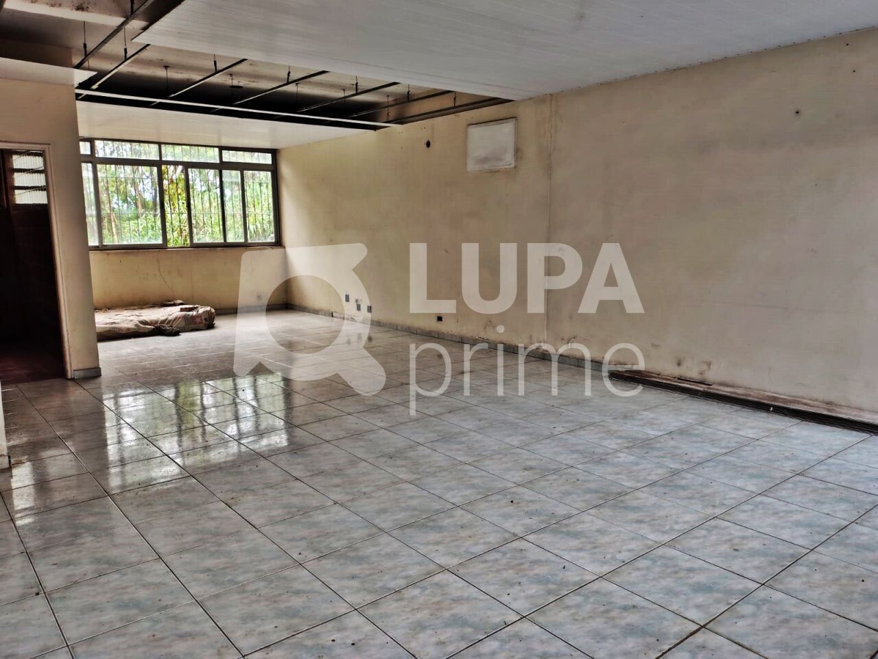 Depósito-Galpão, 5441 m² - Foto 7