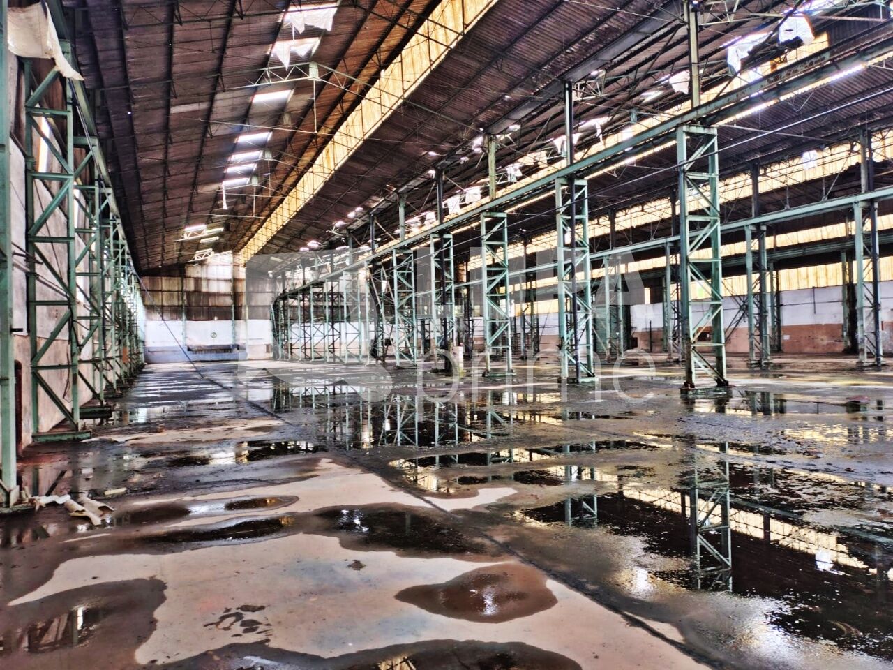 Depósito-Galpão, 5441 m² - Foto 3