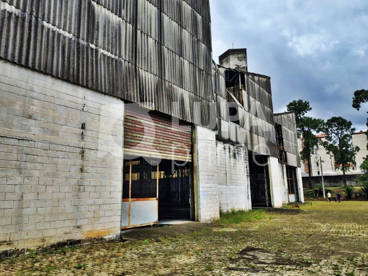 Depósito-Galpão, 5441 m² - Foto 12