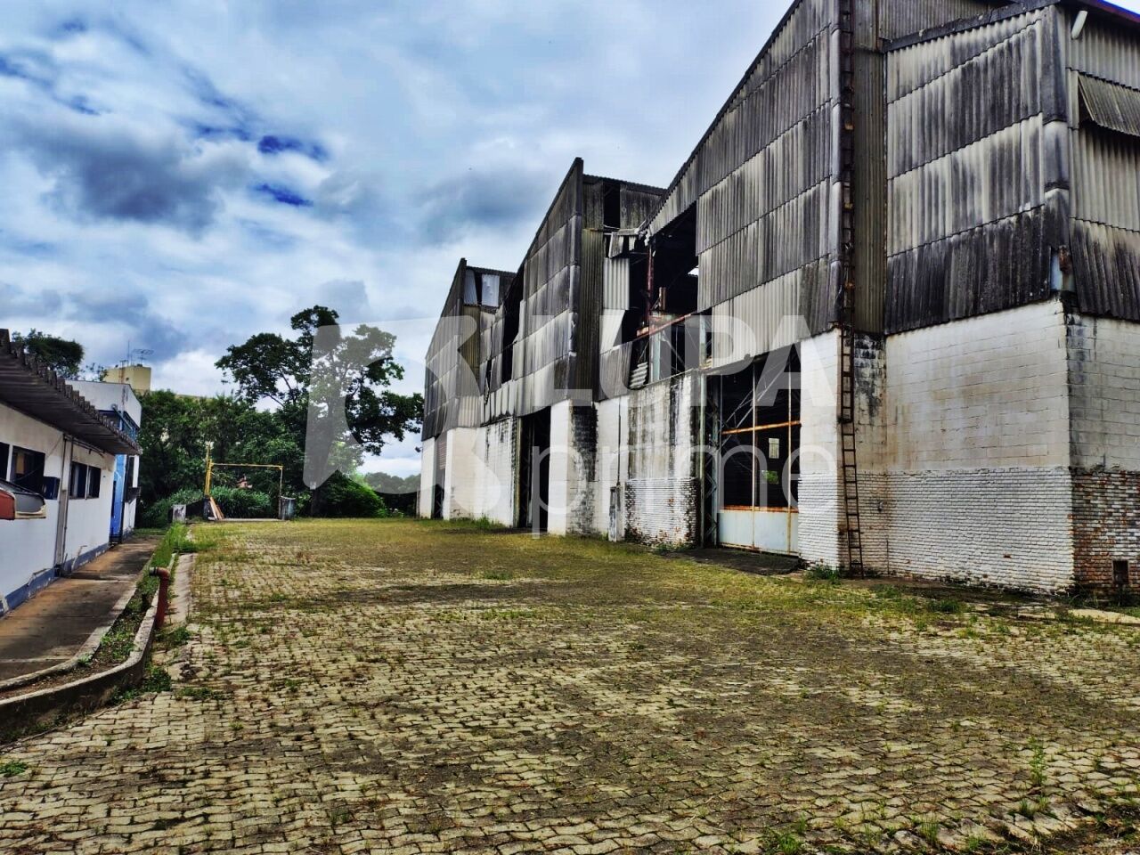 Depósito-Galpão, 5441 m² - Foto 15
