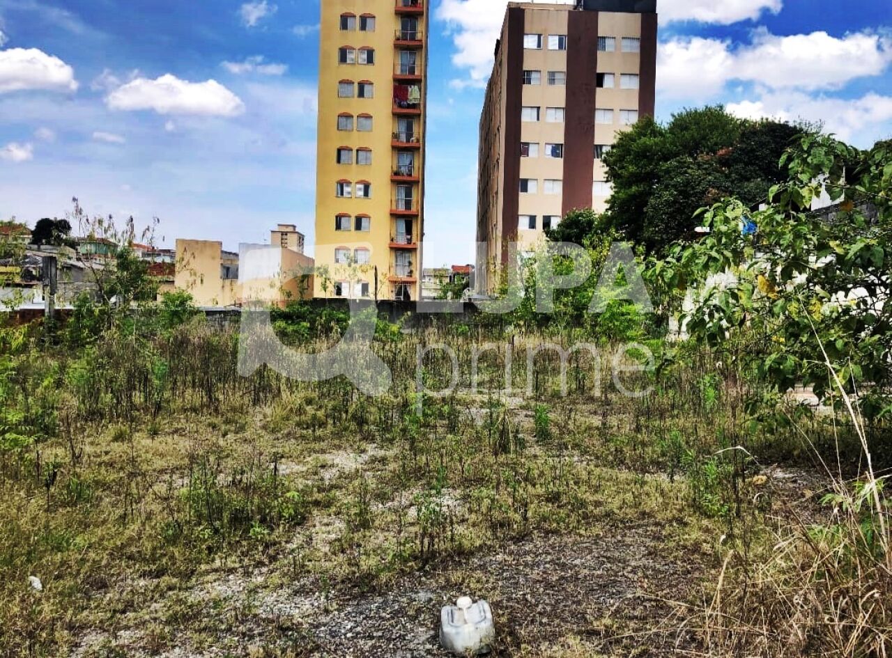 terreno-venda-sao-paulo-vila-isolina-mazzei-LM29983