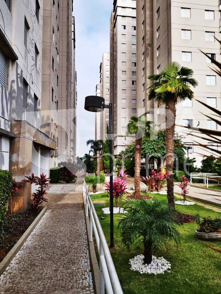 Apartamento, 3 quartos, 64 m² - Foto 12