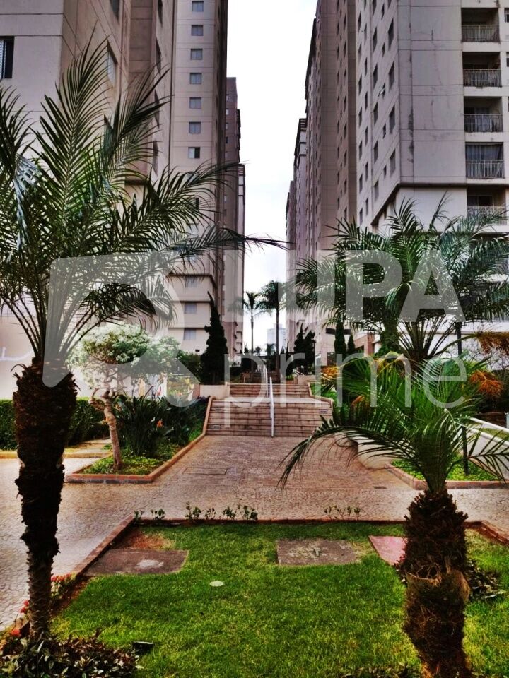 Apartamento, 3 quartos, 64 m² - Foto 18