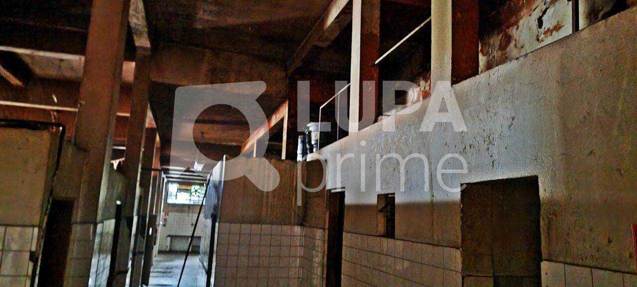 Loja-Salão, 370 m² - Foto 1