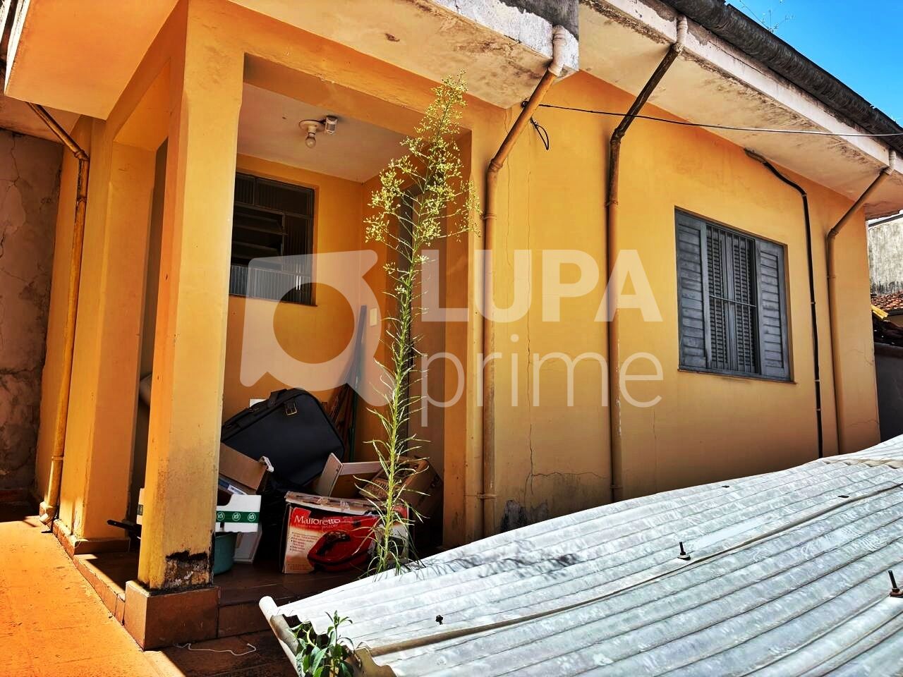 casa-terrea-venda-sao-paulo-vila-maria-alta-2dormitorios-2vagas-66m2-LM30039