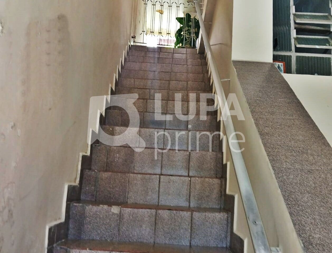 casa-terrea-venda-sao-paulo-vila-maria-alta-3dormitorios-3suites-3vagas-438m2-LM30043