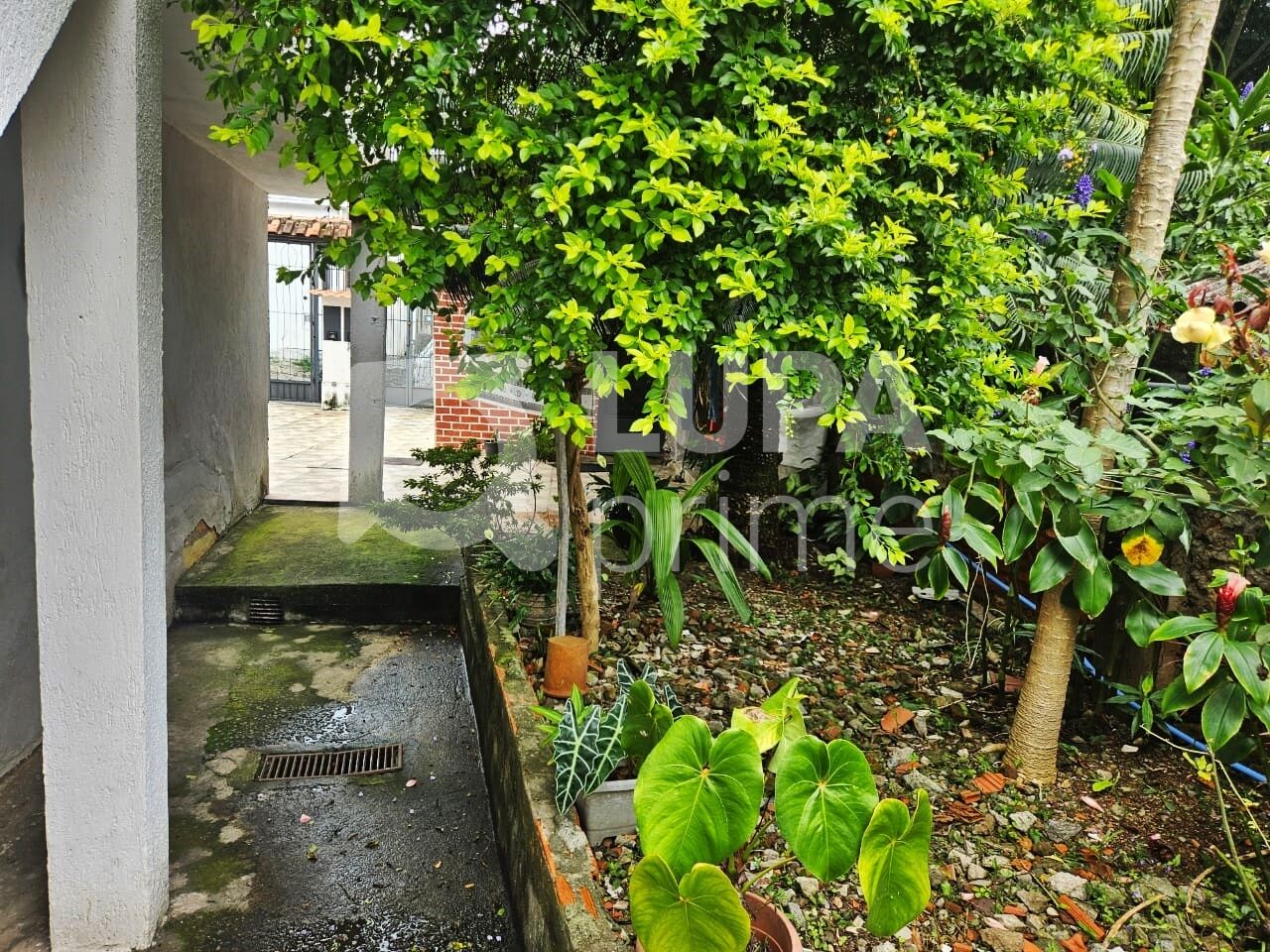 sobrado-venda-sao-paulo-vila-medeiros-2dormitorios-3vagas-200m2-LM30053