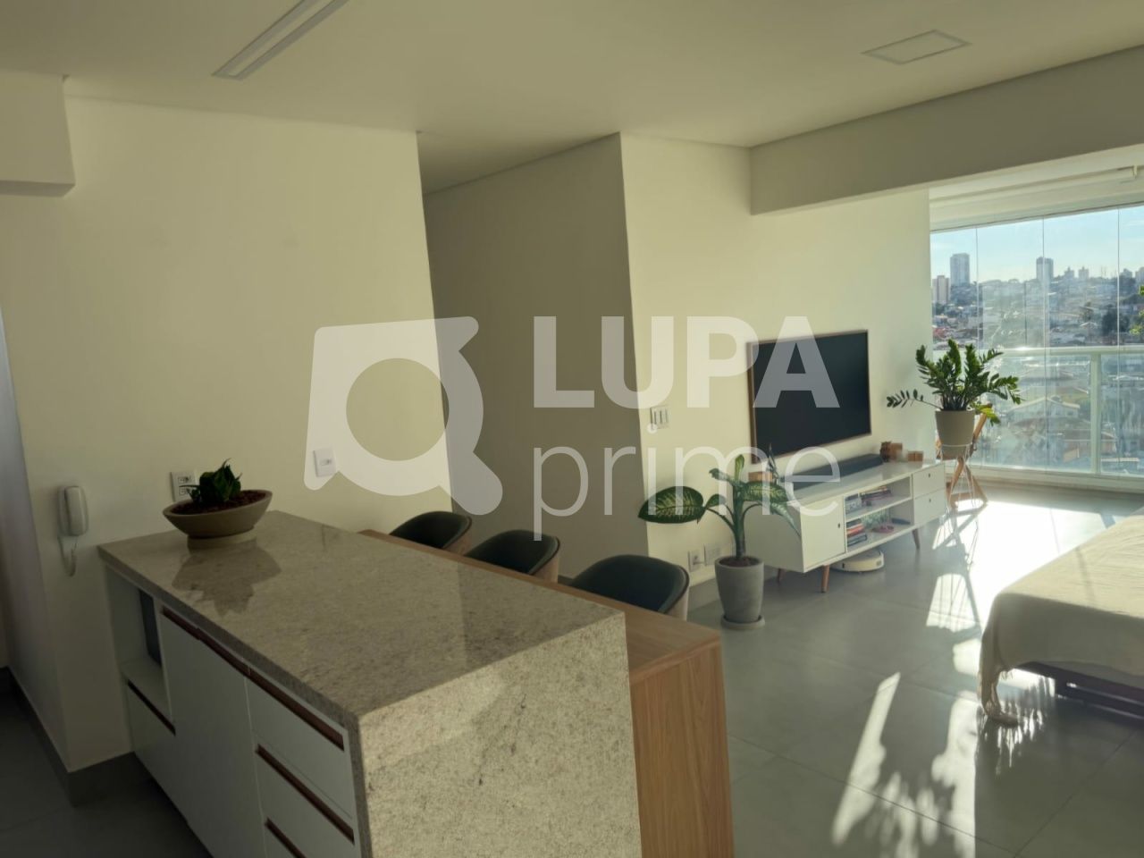 apartamento-venda-sao-paulo-jardim-sao-paulo-2dormitorios-1suite-1vaga-64m2-LM30076