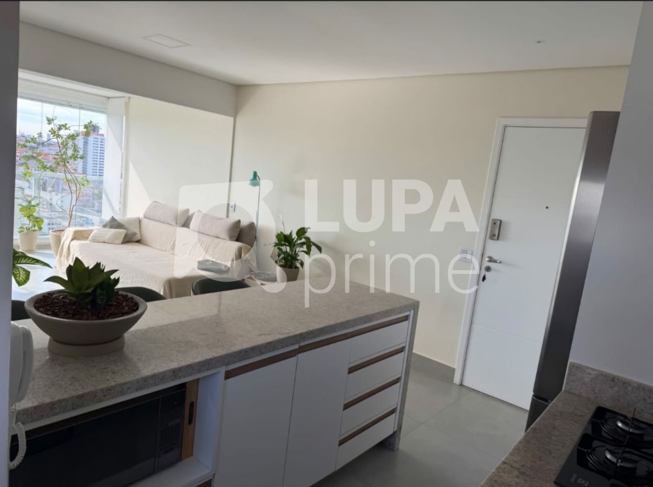 apartamento-venda-sao-paulo-jardim-sao-paulo-2dormitorios-1suite-1vaga-64m2-LM30076