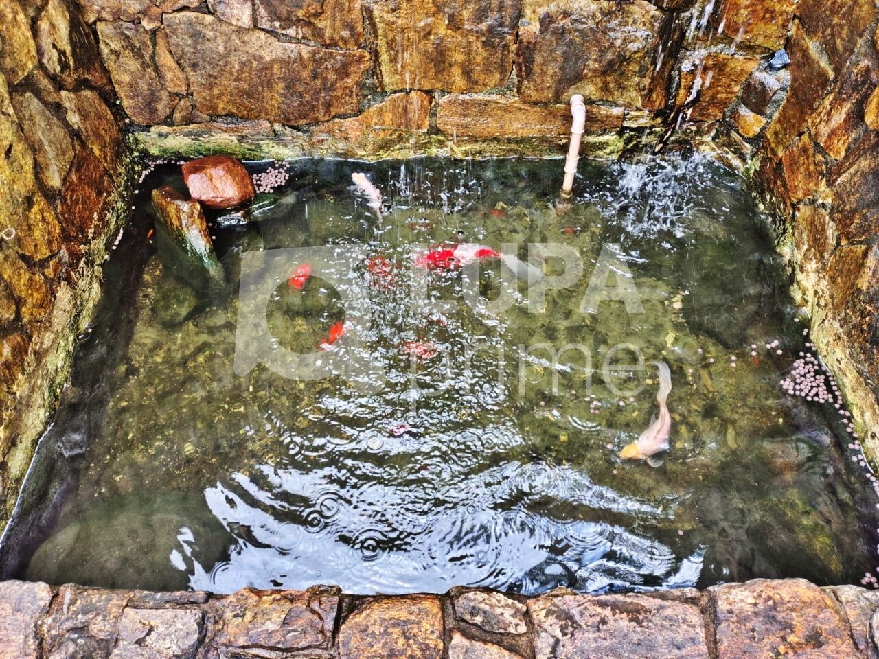 apartamento-venda-sao-paulo-jacana-2dormitorios-1vaga-59m2-LM30098