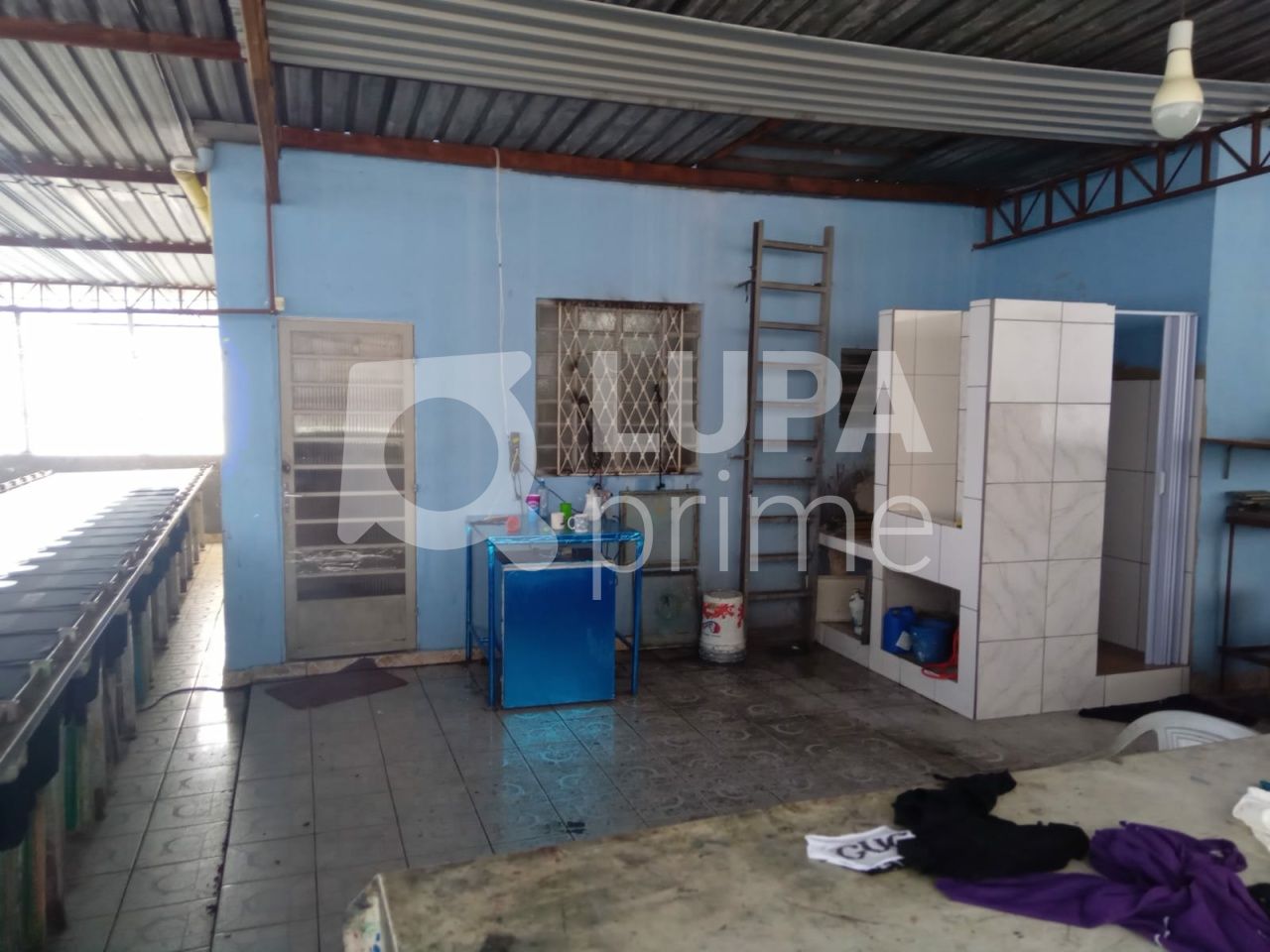 predio-venda-sao-paulo-jardim-peri-5vagas-500m2-LM30121