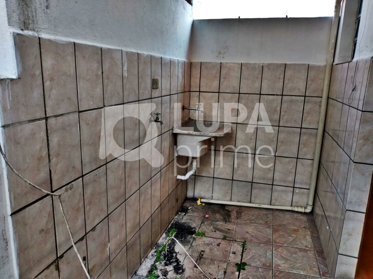 casa-terrea-locacao-sao-paulo-vila-maria-alta-1dormitorio-30m2-LM30152