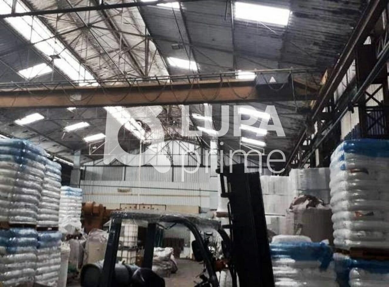 galpao-locacao-sao-paulo-casa-verde-2500m2-LM30214