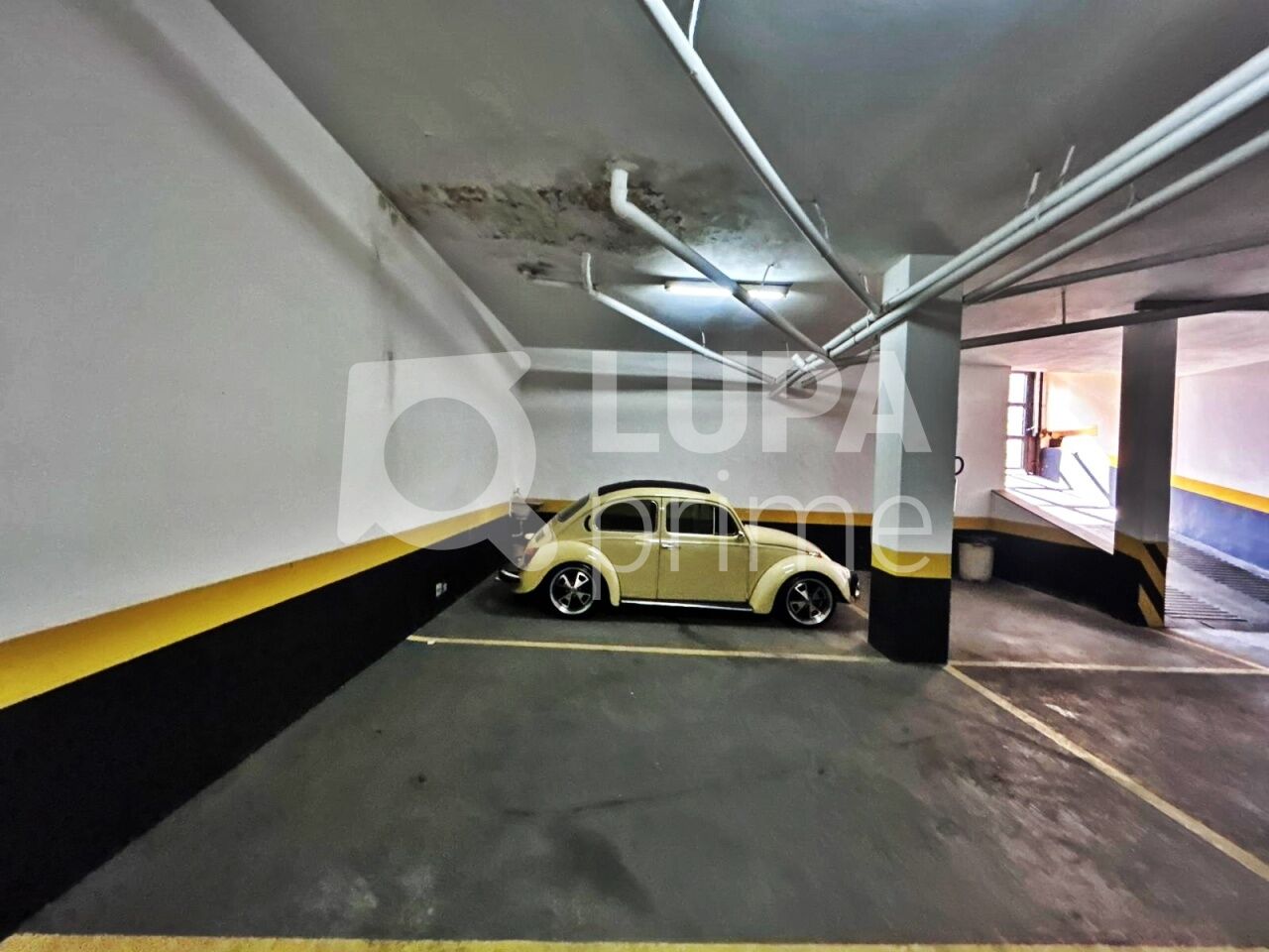 conj-comercial-locacao-sao-paulo-vila-maria-alta-6vagas-300m2-LM30223