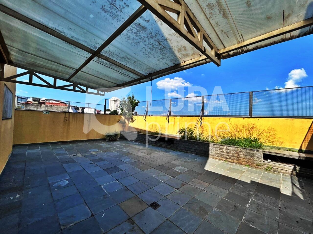 conj-comercial-locacao-sao-paulo-vila-maria-alta-6vagas-300m2-LM30223