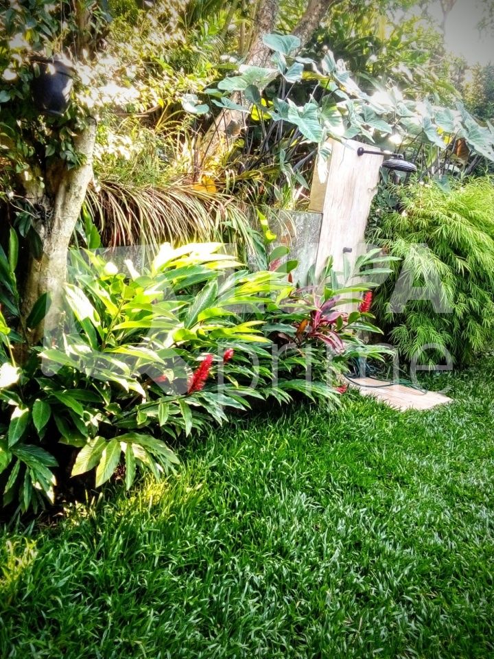 sobrado-venda-sao-paulo-tucuruvi-3dormitorios-1suite-6vagas-330m2-LM30306