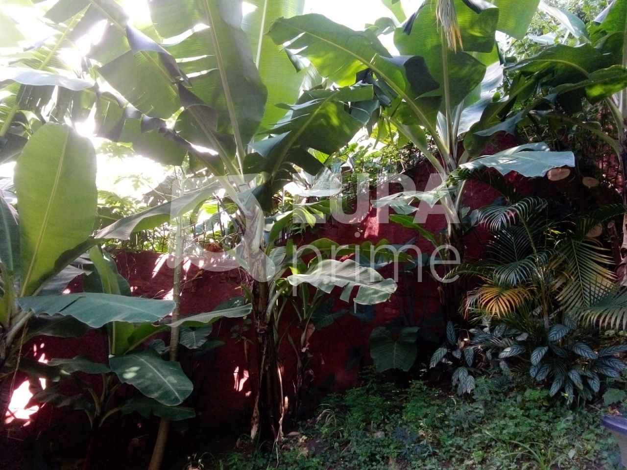 sobrado-venda-sao-paulo-tucuruvi-3dormitorios-1suite-6vagas-330m2-LM30306