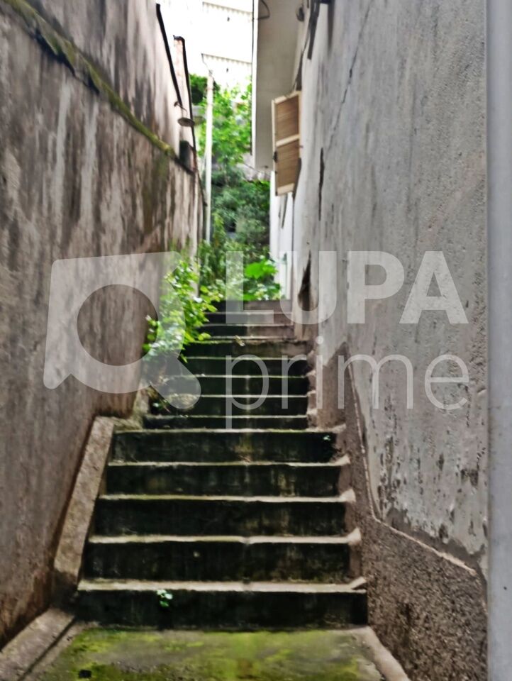 sobrado-venda-sao-paulo-vila-maria-alta-4dormitorios-380m2-LM30322