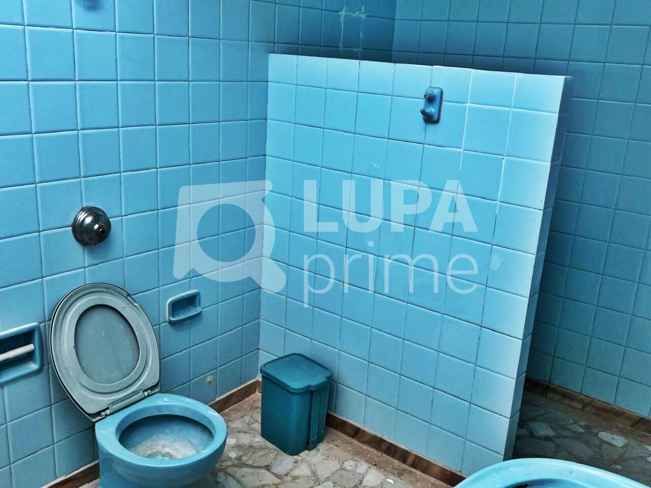 Casa, 3 quartos, 300 m² - Foto 16