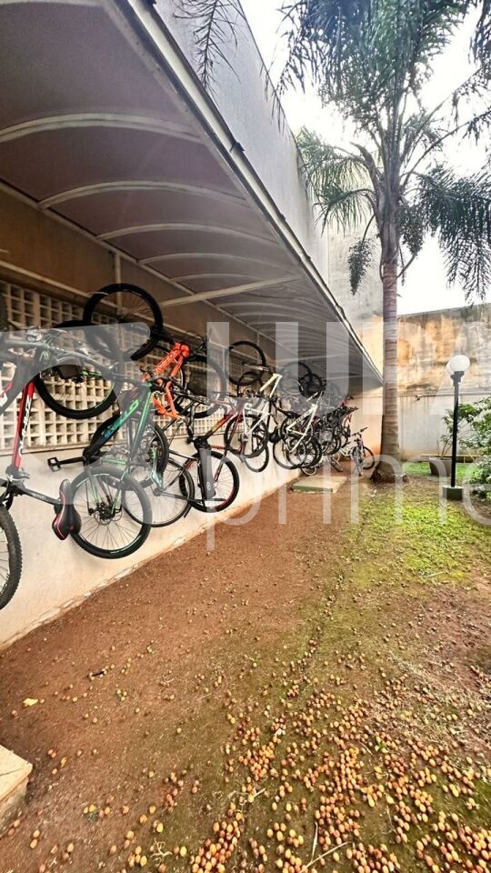 Apartamento, 3 quartos, 78 m² - Foto 24