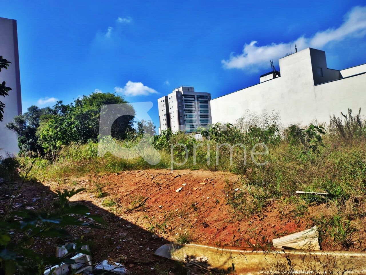 terreno-locacao-sao-paulo-vila-guilherme-LM30350