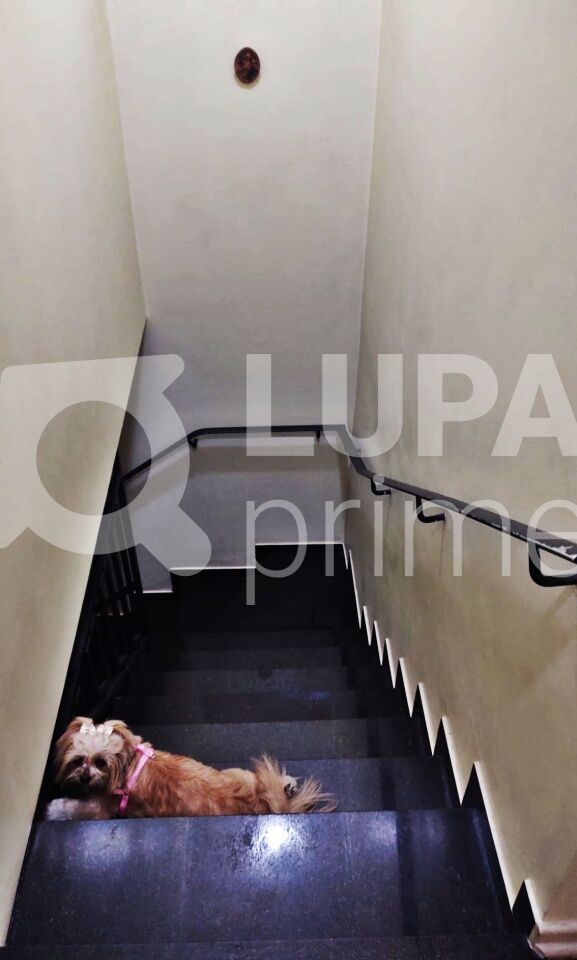 Casa, 5 quartos, 155 m² - Foto 4