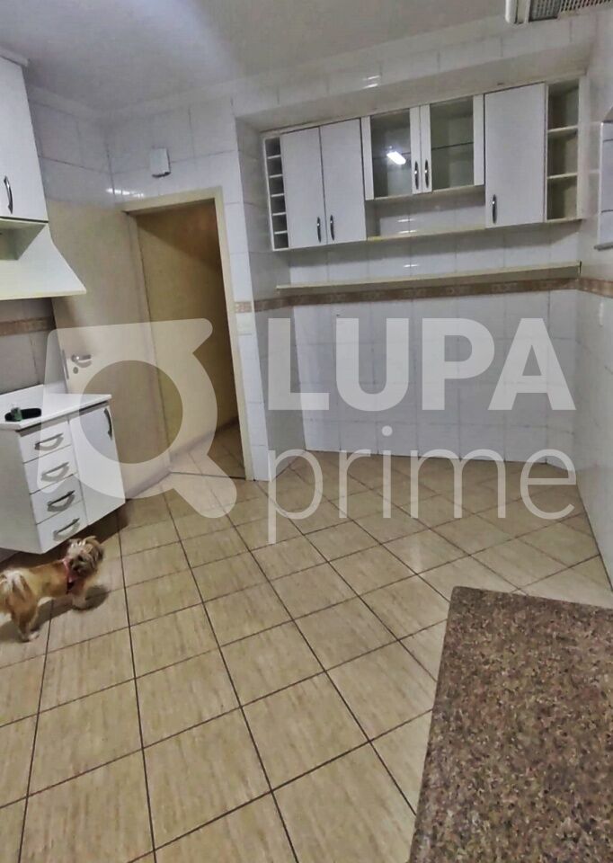 Casa, 5 quartos, 155 m² - Foto 10