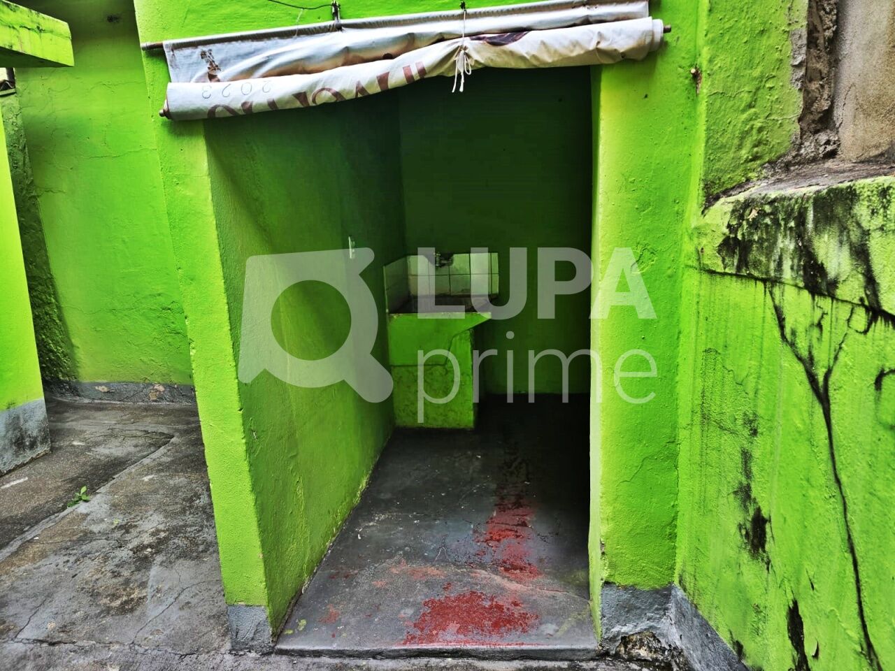 casa-terrea-locacao-sao-paulo-vila-maria-baixa-1dormitorio-50m2-LM30429