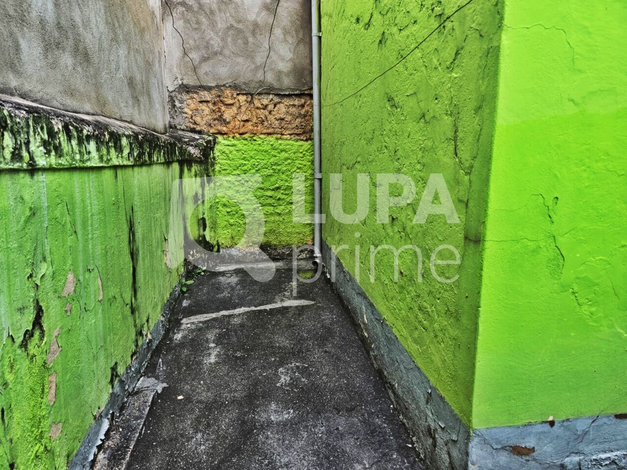 casa-terrea-locacao-sao-paulo-vila-maria-baixa-1dormitorio-50m2-LM30429