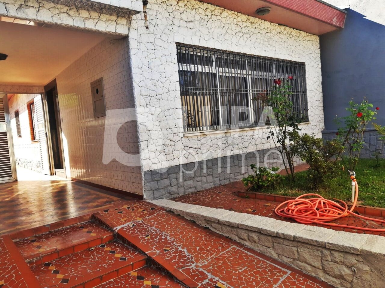 casa-terrea-locacao-sao-paulo-vila-maria-alta-2dormitorios-1suite-8vagas-200m2-LM30449