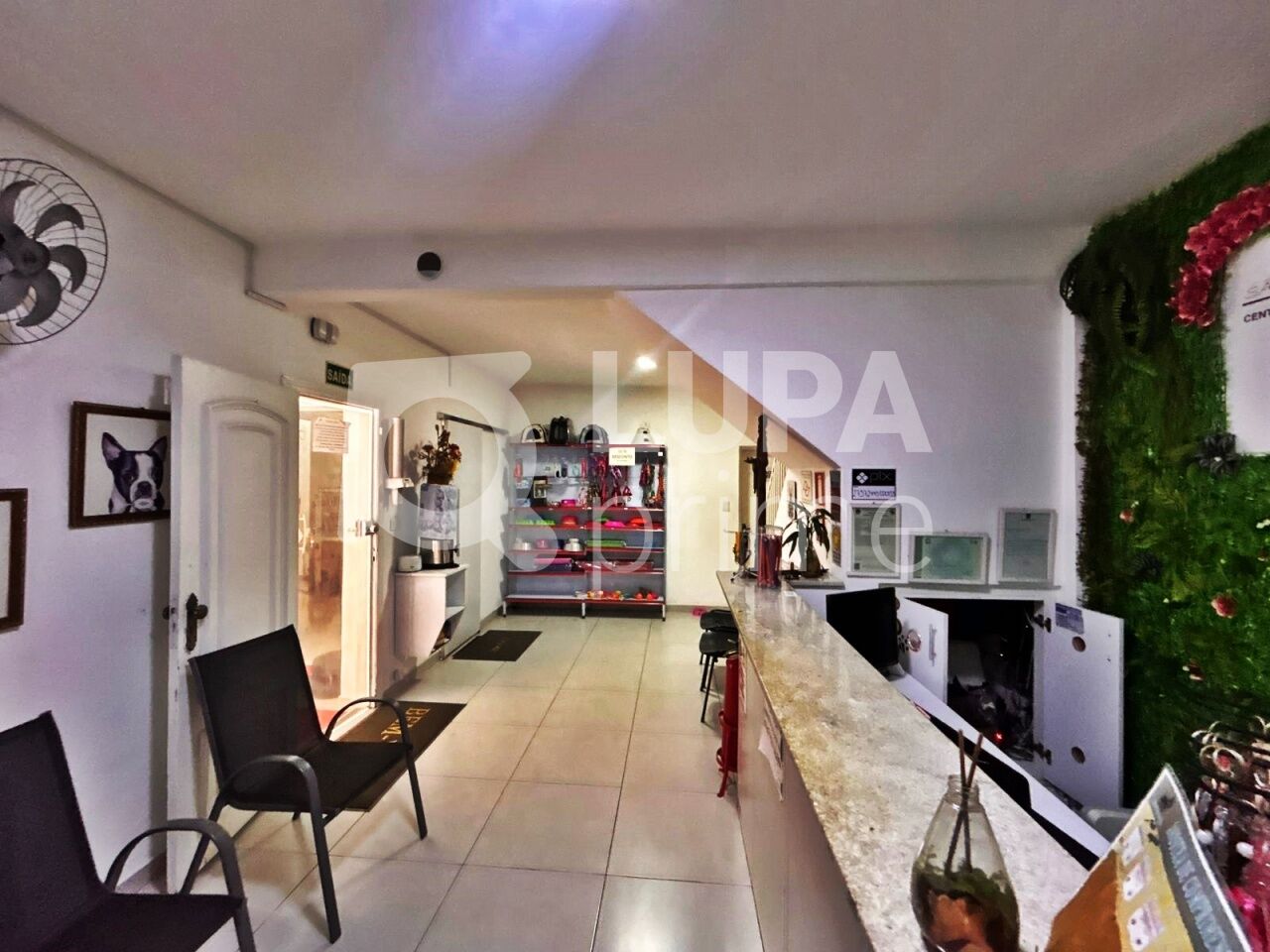 casa-comercial-locacao-sao-paulo-vila-maria-baixa-1vaga-149m2-LM30518