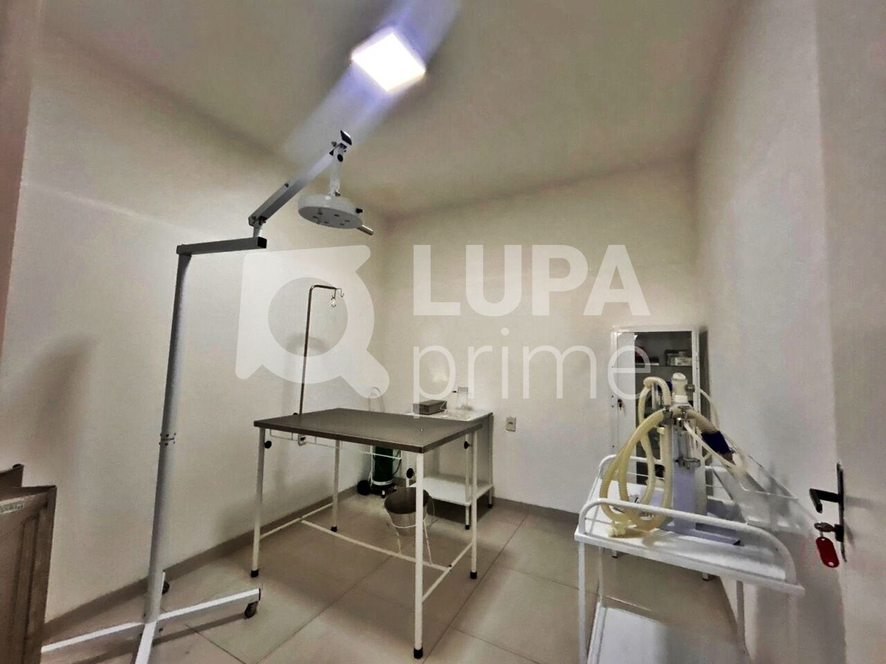 casa-comercial-locacao-sao-paulo-vila-maria-baixa-1vaga-149m2-LM30518