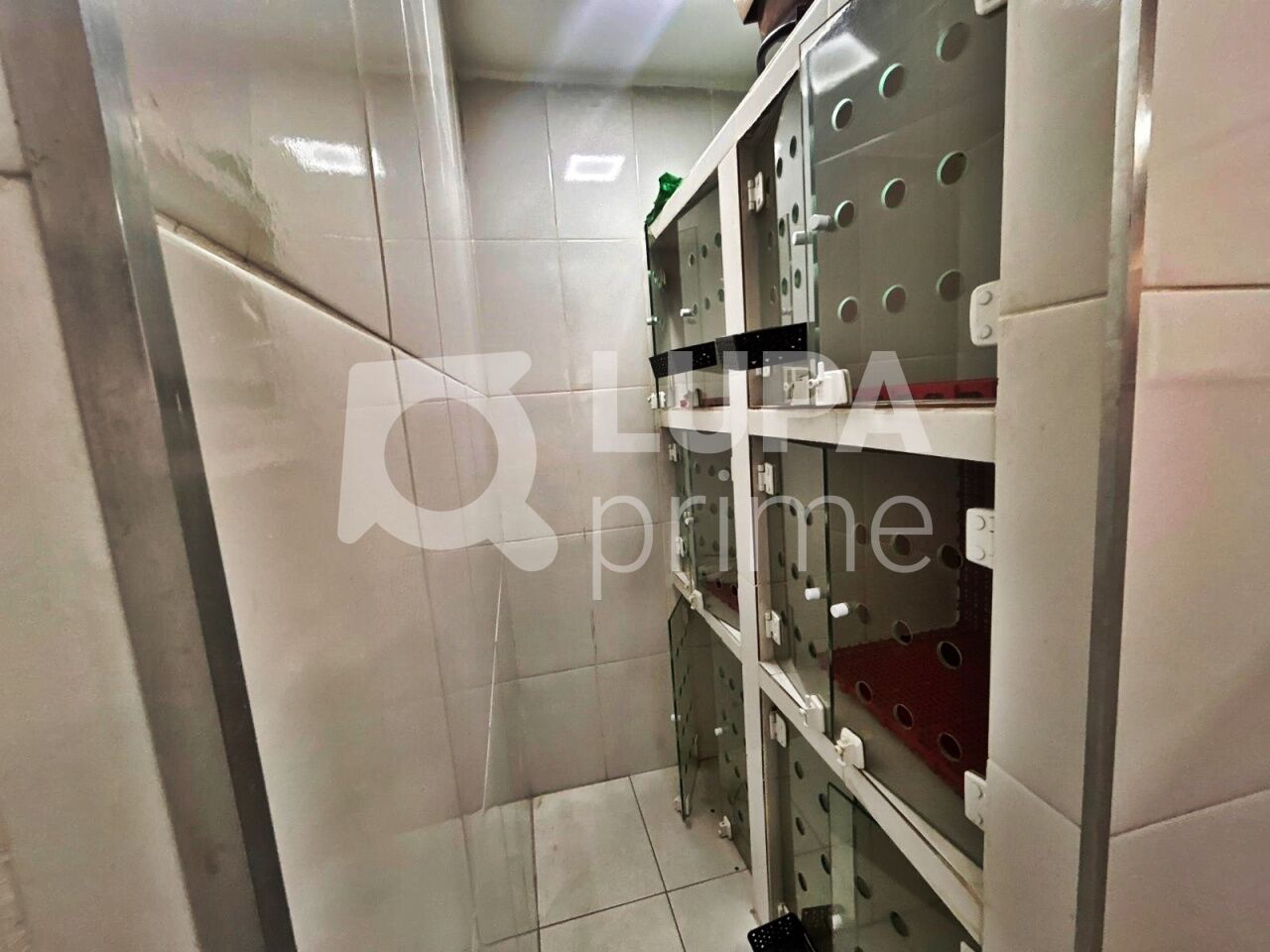 casa-comercial-locacao-sao-paulo-vila-maria-baixa-1vaga-149m2-LM30518
