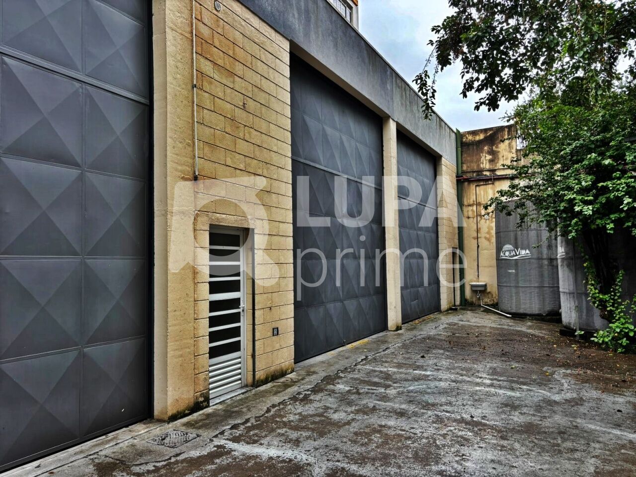 galpao-locacao-sao-paulo-cambuci-805m2-LM30559