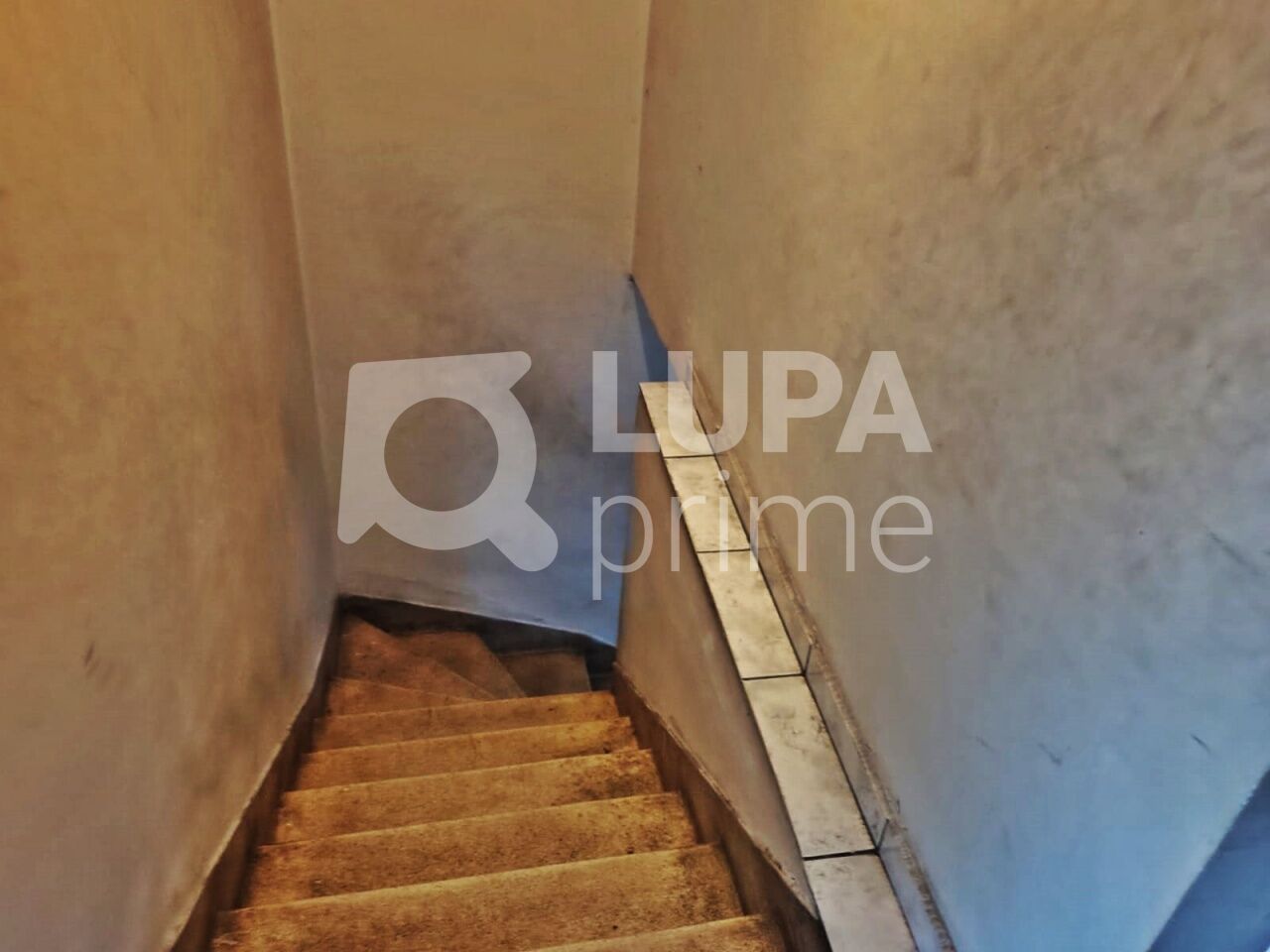 Casa, 4 quartos, 236 m² - Foto 16