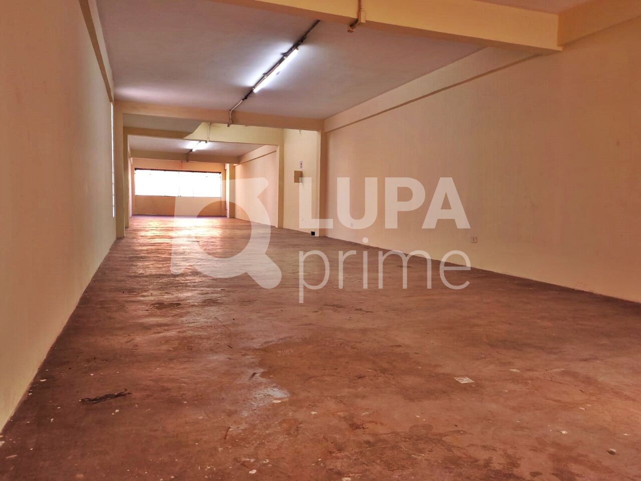 predio-locacao-sao-paulo-bras-445m2-LM30580