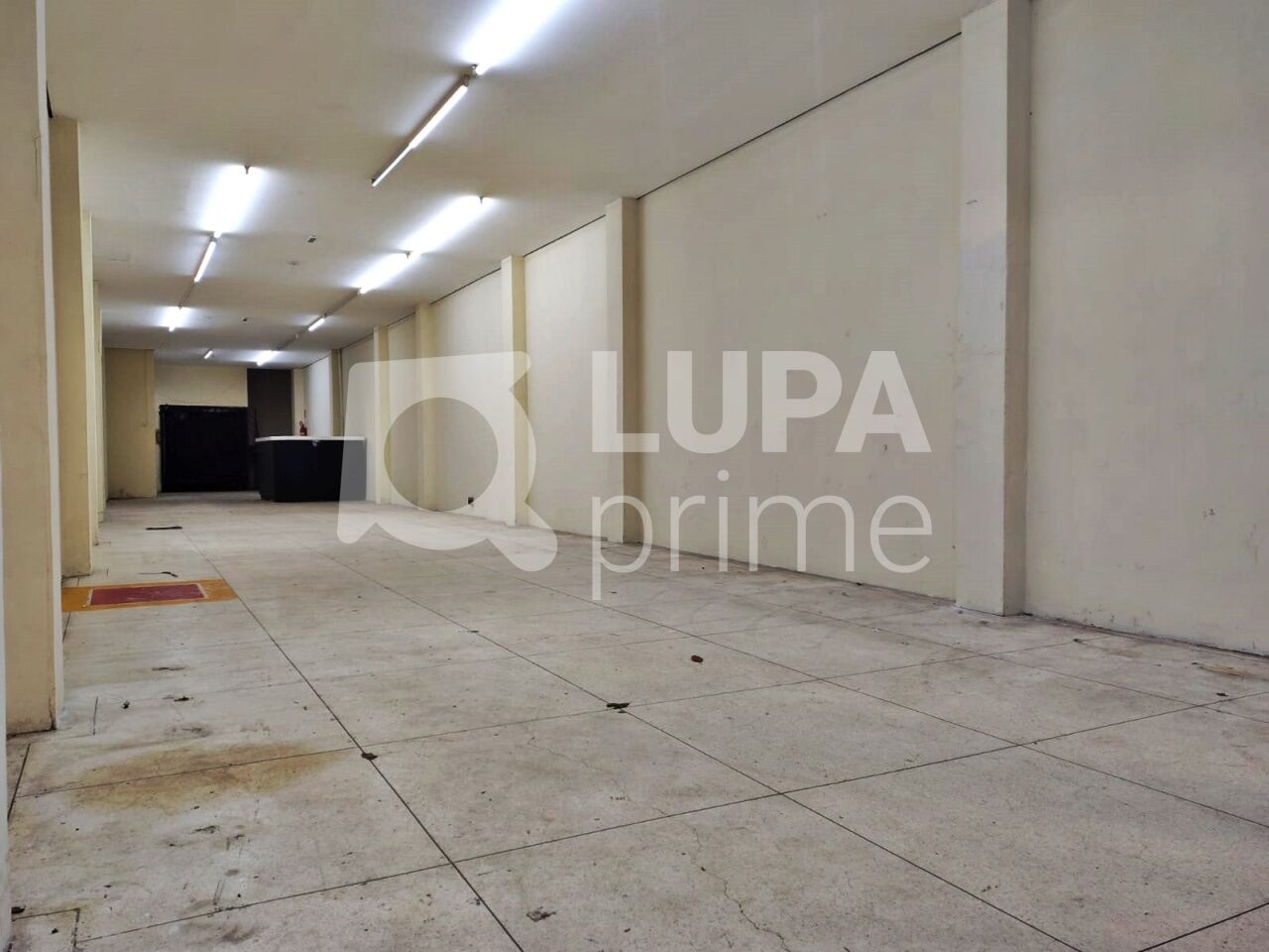predio-locacao-sao-paulo-bras-445m2-LM30580