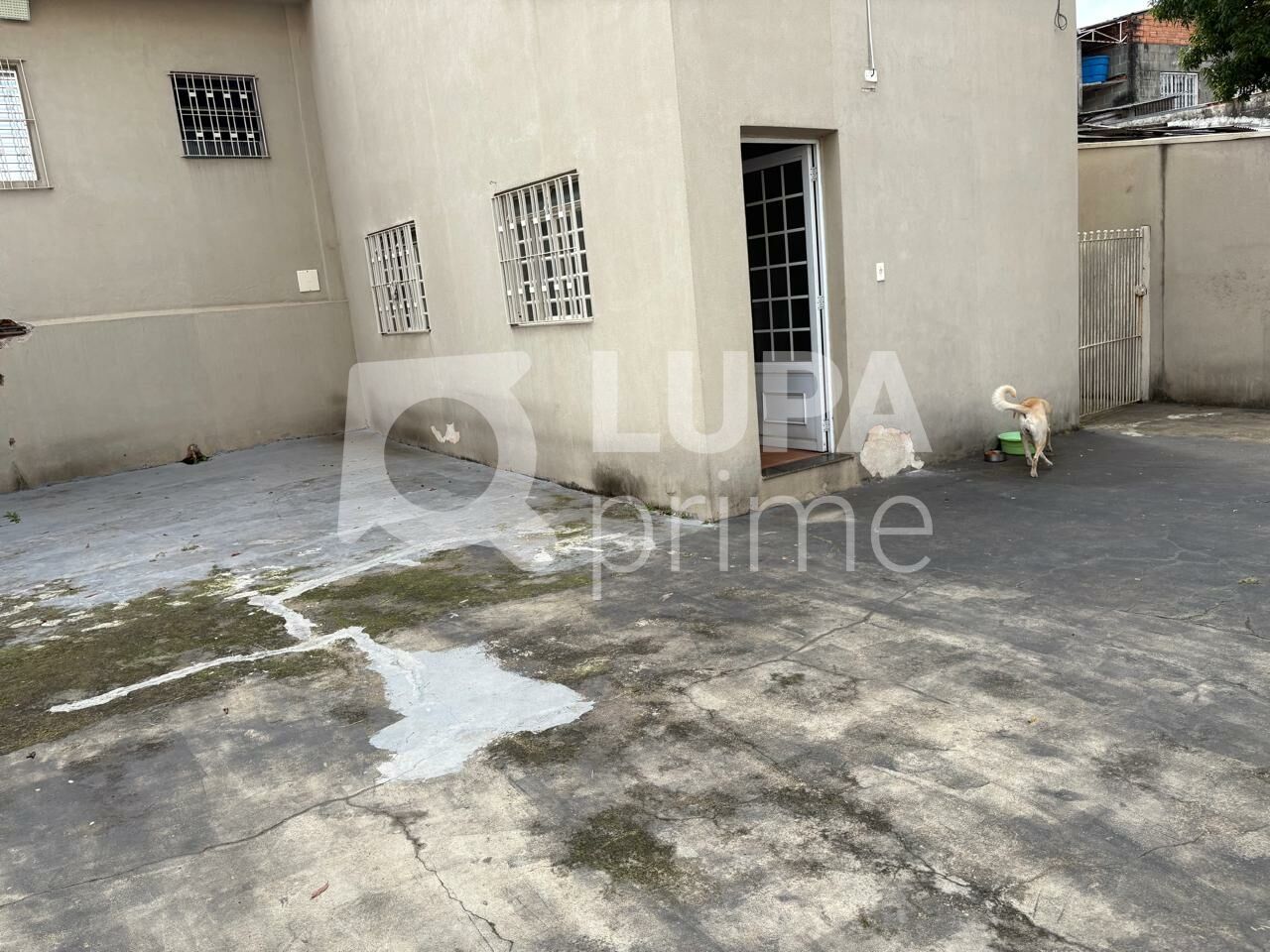 Casa, 4 quartos, 167 m² - Foto 17