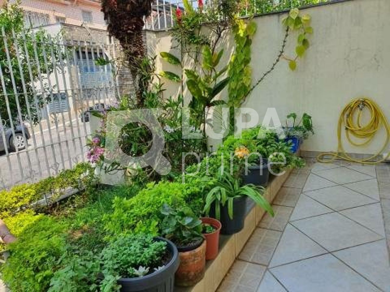 casa-terrea-venda-sao-paulo-vila-guilherme-2dormitorios-1suite-2vagas-130m2-LM368