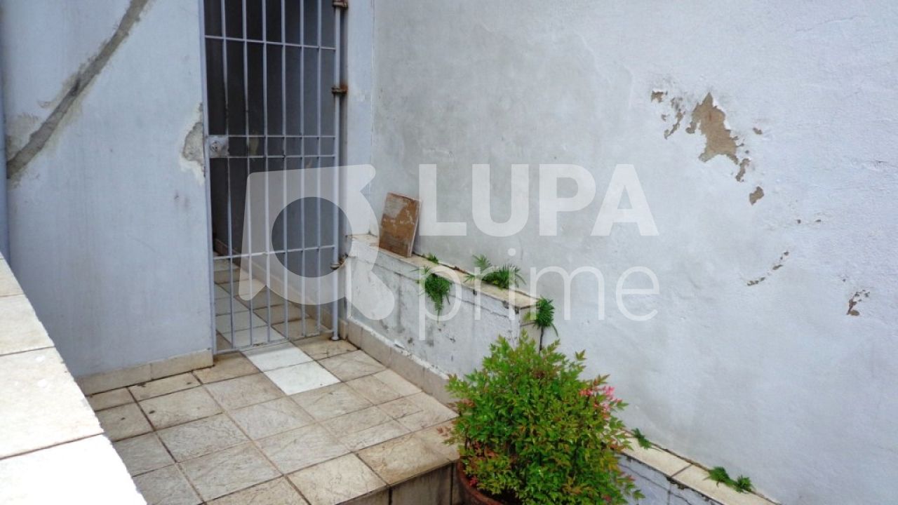 sobrado-venda-sao-paulo-vila-maria-alta-2dormitorios-1suite-1vaga-250m2-LM4530