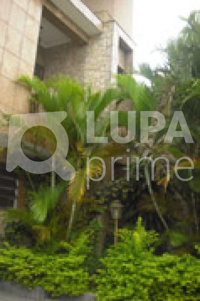 sobrado-venda-sao-paulo-vila-maria-alta-3dormitorios-1suite-6vagas-500m2-LM556