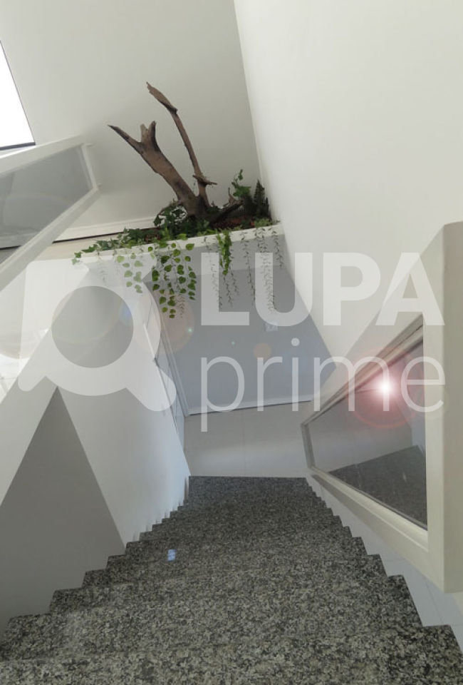 sobrado-venda-sao-paulo-vila-maria-3dormitorios-3suites-6vagas-288m2-LM7154