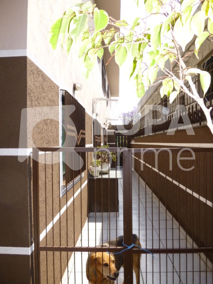 sobrado-venda-sao-paulo-vila-maria-alta-3dormitorios-1suite-4vagas-232m2-LM9906