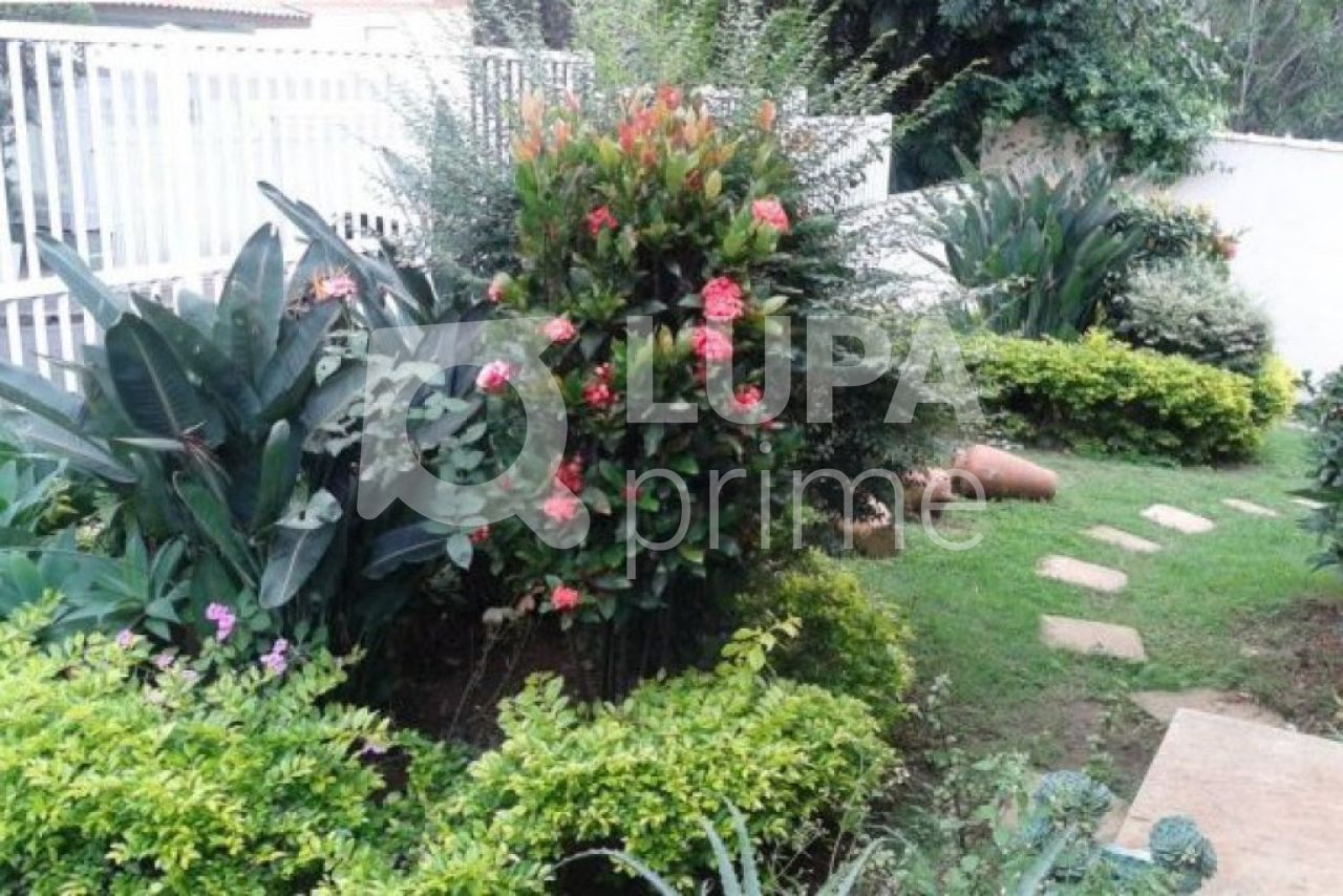 casa-terrea-venda-sao-paulo-vila-albertina-4dormitorios-4suites-14vagas-400m2-LS10135